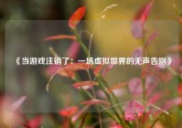 《当游戏注销了：一场虚拟世界的无声告别》