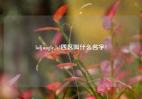 loljungle,lol四区叫什么名字?
