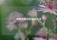  戒游戏前后的虚拟人生