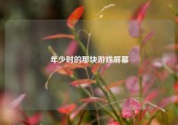 年少时的那块游戏屏幕