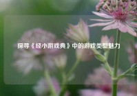 探寻《经小游戏典》中的游戏类型魅力