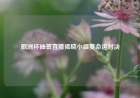 欧洲杯抽签直播揭晓小组赛命运对决