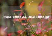 张楠与田卿的情感风波：羽坛背后的情感纠葛