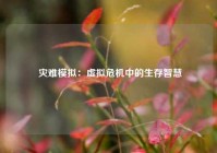  灾难模拟：虚拟危机中的生存智慧