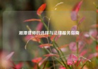 湘潭律师的选择与法律服务指南