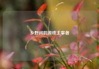 乡野间的游戏主宰者