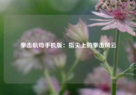拳击航母手机版：指尖上的拳击风云