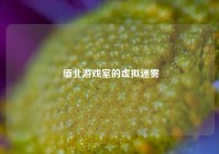  缅北游戏室的虚拟迷雾