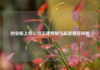 创业板上市公司法律规制与监管路径探析
