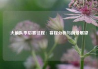 火箭队季后赛征程：赛程分析与前景展望