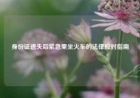 身份证遗失后紧急乘坐火车的法律应对指南