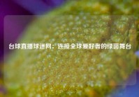 台球直播球迷网：连接全球爱好者的绿茵舞台