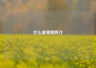 什么是缓期执行