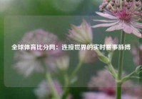 全球体育比分网：连接世界的实时赛事脉搏