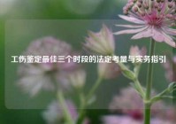 工伤鉴定最佳三个时段的法定考量与实务指引