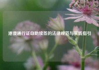 港澳通行证自助续签的法律规范与实践指引