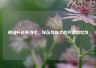 德国杯决赛直播：绿茵巅峰之战的激情绽放
