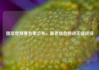 国足世预赛名单公布，新老结合迎战关键战役