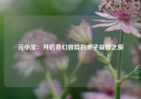 元小宝：开启奇幻冒险的亲子益智之旅