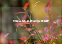 韩国国家队最新阵容深度解析