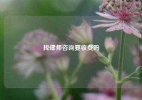 找律师咨询要收费吗