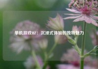 单机游戏HZ：沉浸式体验的独特魅力