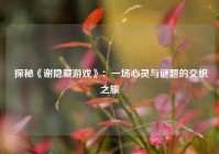  探秘《谢隐藏游戏》：一场心灵与谜题的交织之旅