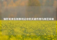 强奸笔录在刑事司法中的关键作用与规范审视