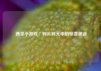  遇见小游戏：碎片时光中的惊喜邂逅