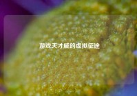  游戏天才威的虚拟征途