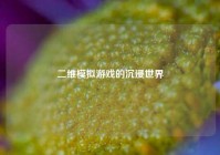 二维模拟游戏的沉浸世界