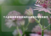 个人社保缴费年限查询的法律指引与实务操作