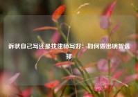 诉状自己写还是找律师写好：如何做出明智选择