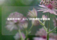 桑游戏攻略：从入门到精通的全面指南