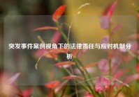 突发事件案例视角下的法律责任与应对机制分析