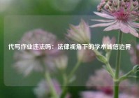 代写作业违法吗：法律视角下的学术诚信边界