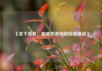 《足下危机：脚底伤游戏的惊险挑战》