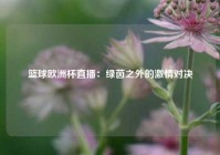 篮球欧洲杯直播：绿茵之外的激情对决