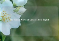 The Vibrant World of Game Festival English