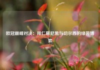 欧冠巅峰对决：拜仁慕尼黑与切尔西的绿茵博弈