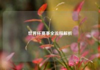 世界杯赛事全流程解析