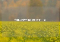 今年法定节假日共计十一天