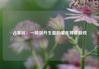 占茅坑：一场别开生面的童年博弈游戏