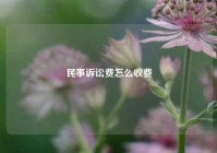 民事诉讼费怎么收费