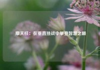  摩天柱：在垂直挑战中攀登智慧之巅