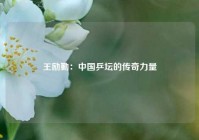 王励勤：中国乒坛的传奇力量