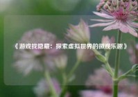 《游戏找隐藏：探索虚拟世界的微观乐趣》