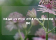 民事诉讼法全文2021：程序正义与权利保障的新篇章