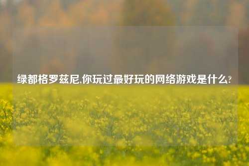 绿都格罗兹尼,你玩过最好玩的网络游戏是什么?