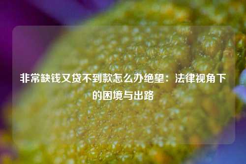 非常缺钱又贷不到款怎么办绝望：法律视角下的困境与出路